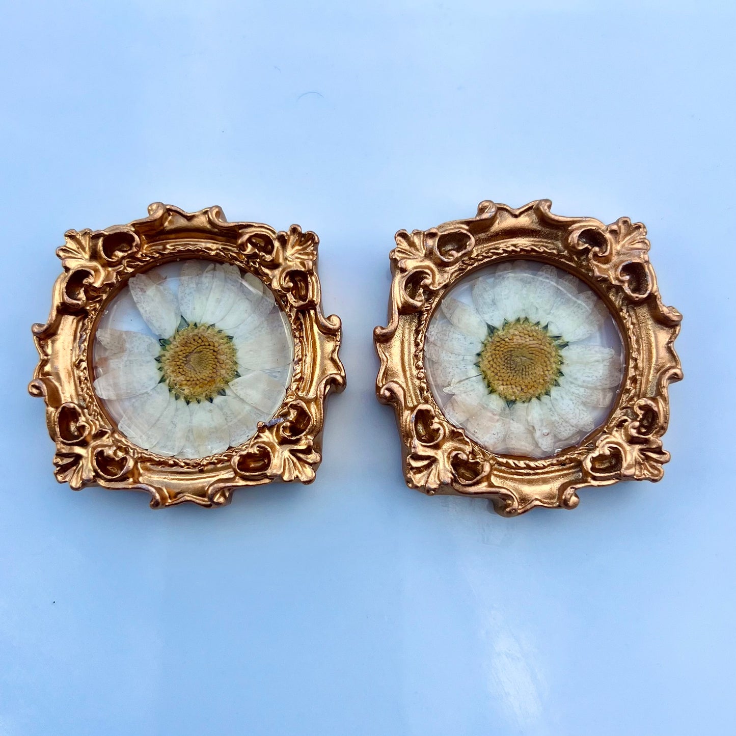 Framed- Daisy