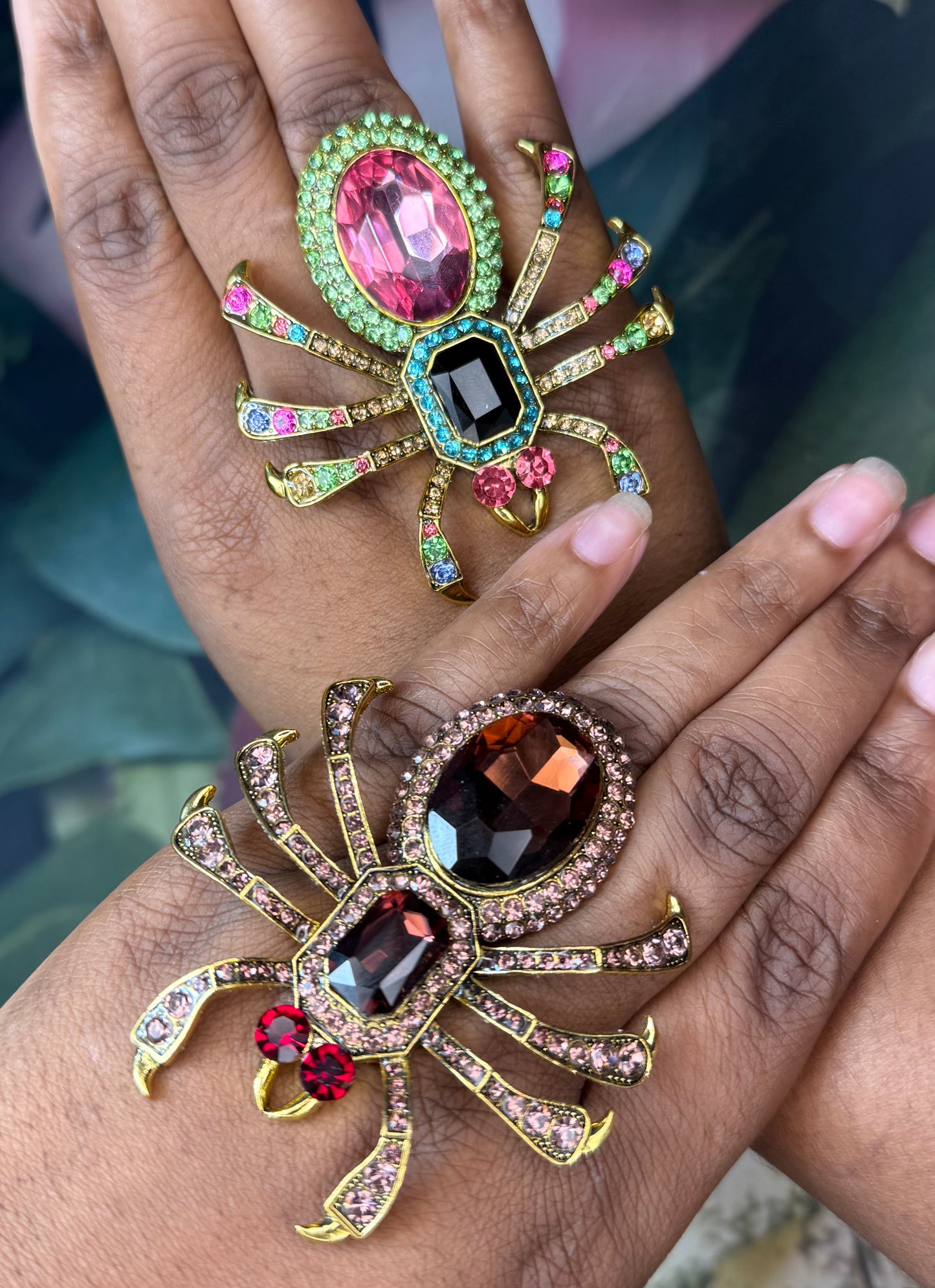 Cinderella Spider